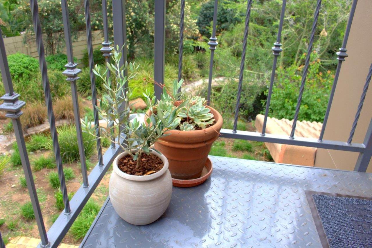 Wild Olive Executive Suite Johannesburg Exteriör bild