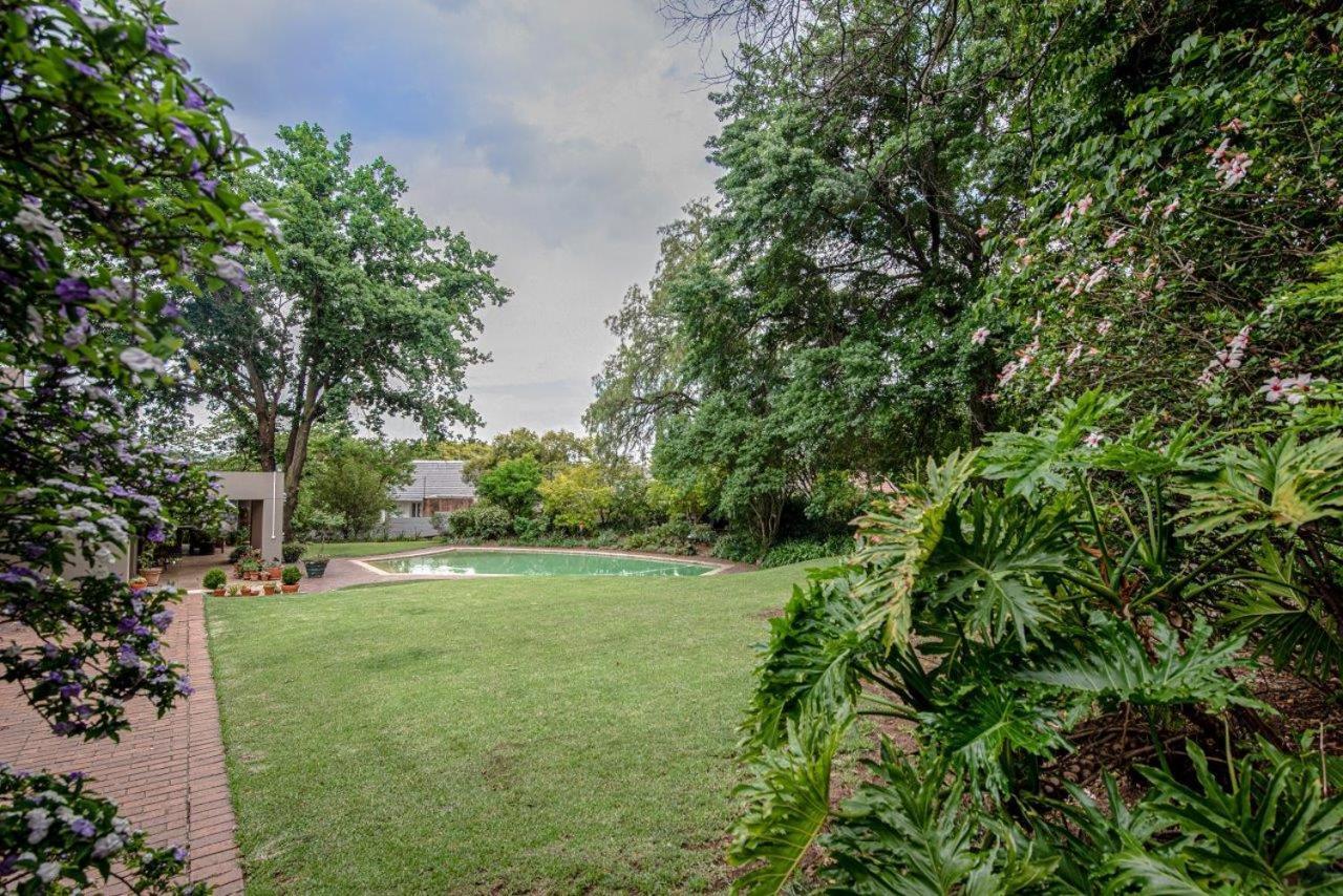 Wild Olive Executive Suite Johannesburg Exteriör bild
