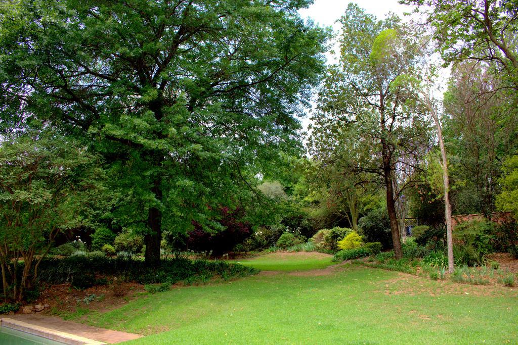Wild Olive Executive Suite Johannesburg Exteriör bild
